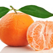 𝓓𝓡 • MANDARINA