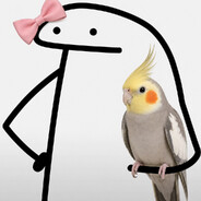 SymLiaa avatar