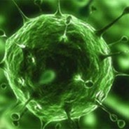 𝕔𝕠𝕣𝕠𝕟𝕒 𝕧