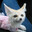 adi.baa's Avatar