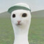 baobabek