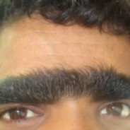 казахская модель