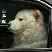 汉东省警犬队长白萨摩