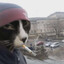 Перри