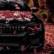 минус 4урка