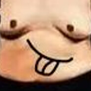 米国农场巴雷特打鸟