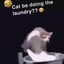 laundry??