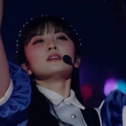 首先我是白河豚