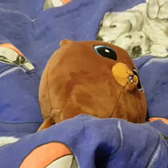 Fzxz Bobrito Borysito #CASEHUG