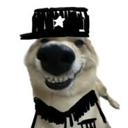 光头强爱吃熊掌