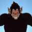 Monkie