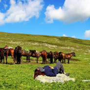 能不能让我赢一把定级