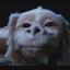 FaLkoR...o_O