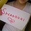 SHANDORI