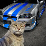 GATO BRAIA skins