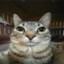 reximeowxd
