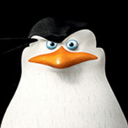 Skipper
