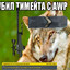 Волчок не аимер:)