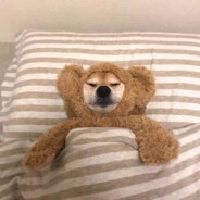 著名人物色彩怪