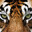 Ar3nd