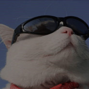 тт