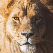 纠结伦想喝优乐美