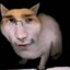 фунчоза