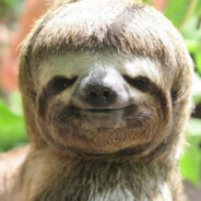 kimbosloth