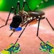 mosquito aidetico