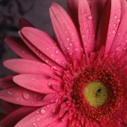 多想想该怎么玩