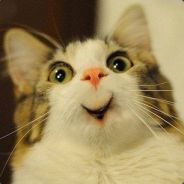 Александр avatar