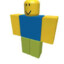 Roblox Player