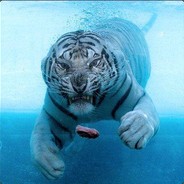 Tiger in Blue