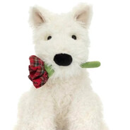 你拉着我说你有些🦑