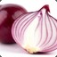 Onion