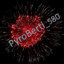 PyroBerti_580