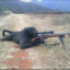 sniper monke