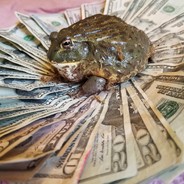 m1nd - steam id 76561198190035130