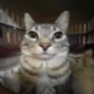 Bazz - steam id 76561198300766684