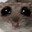 Hampster.