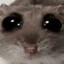 Hampster.