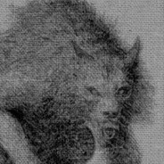 CanisDirus avatar