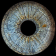 Busket21 - steam id 76561199788544286