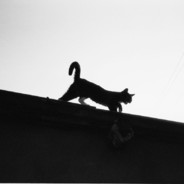 今天想小李同学了没