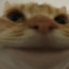 GHOSTTOOOWWWN