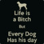 EVERY DOG HAS A DAY