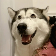 你的十三香不香