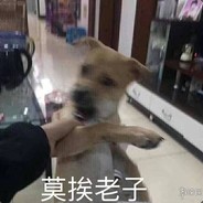 他们都不怎么玩了