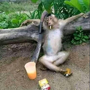 я и бал принцесс