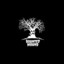 elm